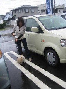 飼い主さまと登場